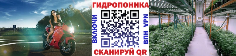 Где купить наркоту Лахденпохья Канабис Меф мяу мяу Альфа ПВП Кетамин Гашиш АМФ